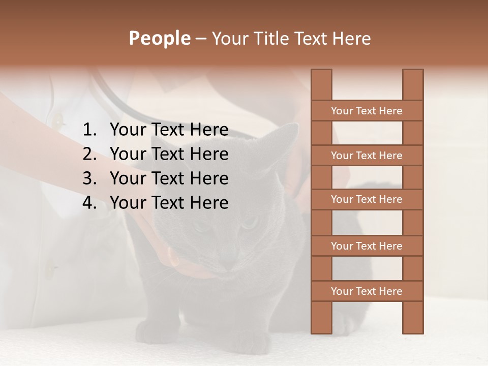 Portrait Of Beautiful African American Woman Smiling PowerPoint Template