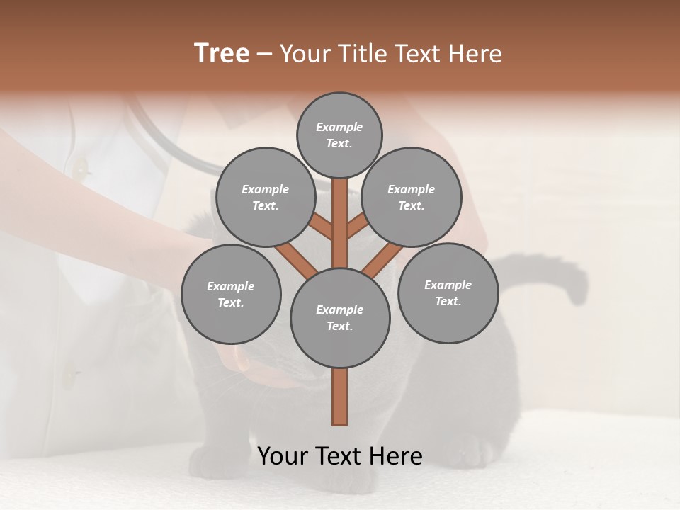 Portrait Of Beautiful African American Woman Smiling PowerPoint Template