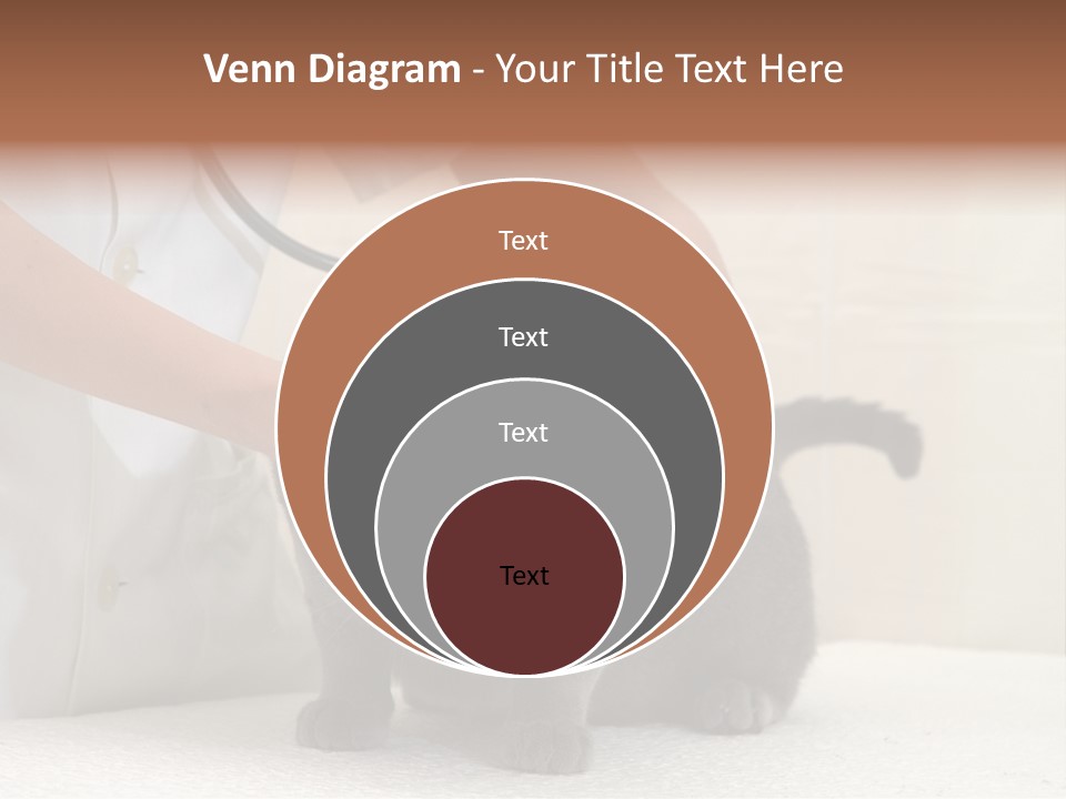 Portrait Of Beautiful African American Woman Smiling PowerPoint Template