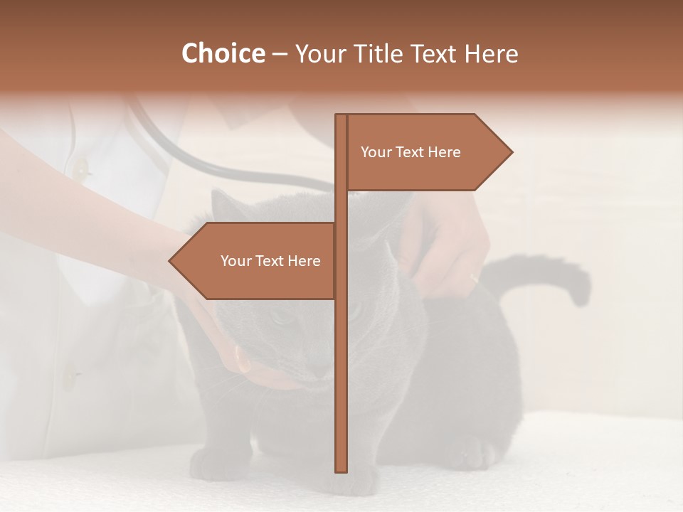 Portrait Of Beautiful African American Woman Smiling PowerPoint Template