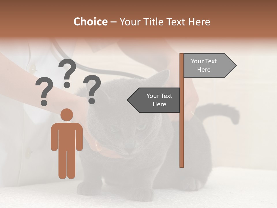 Portrait Of Beautiful African American Woman Smiling PowerPoint Template