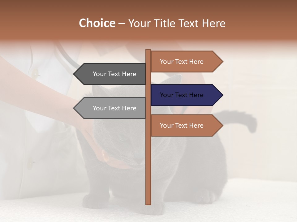 Portrait Of Beautiful African American Woman Smiling PowerPoint Template