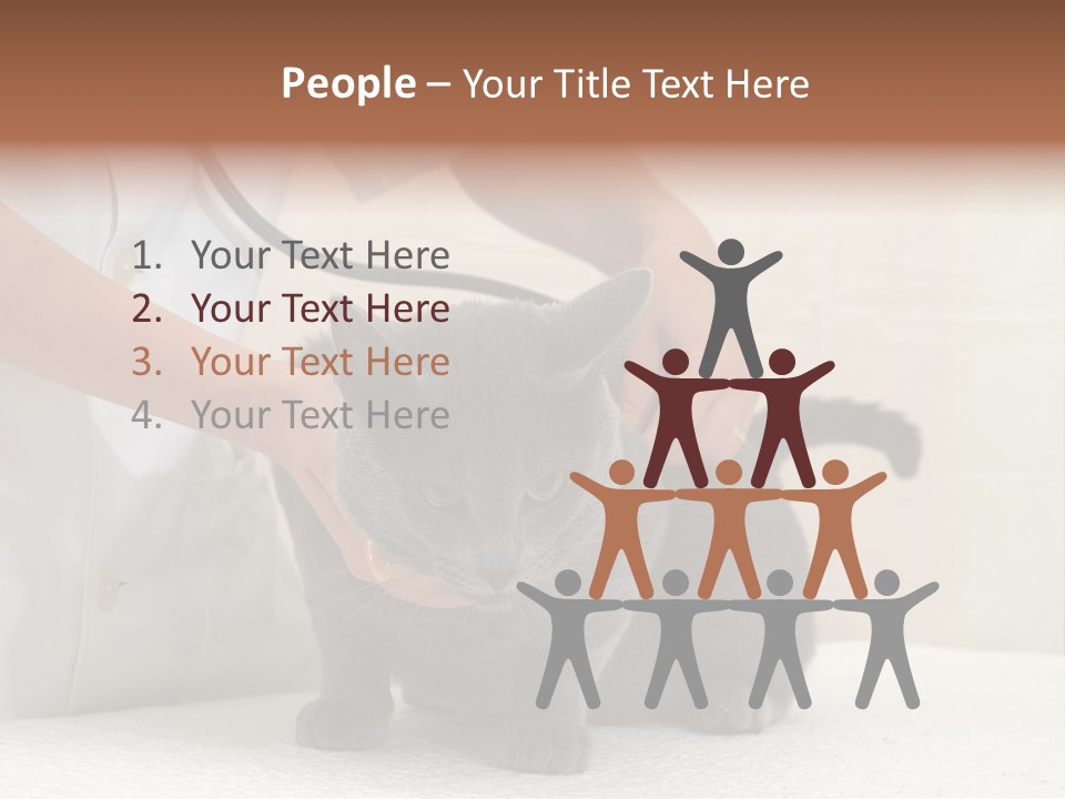 Portrait Of Beautiful African American Woman Smiling PowerPoint Template