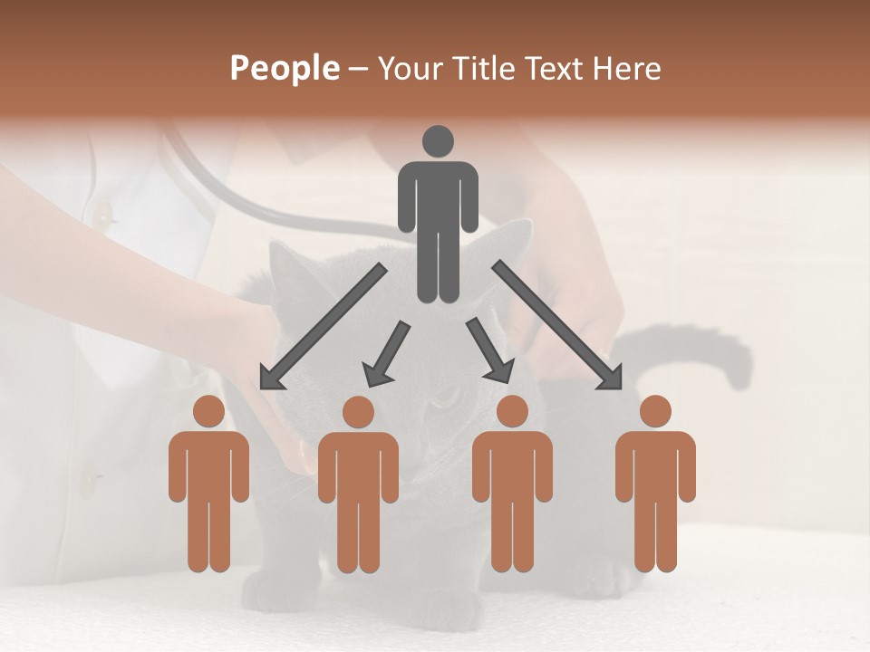 Portrait Of Beautiful African American Woman Smiling PowerPoint Template