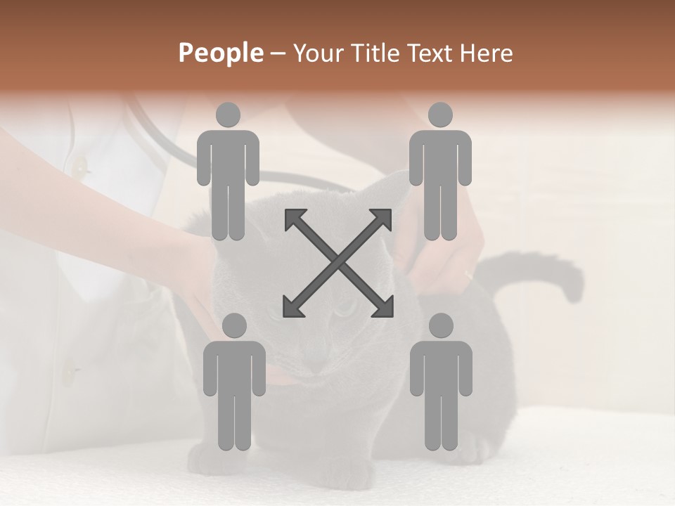 Portrait Of Beautiful African American Woman Smiling PowerPoint Template