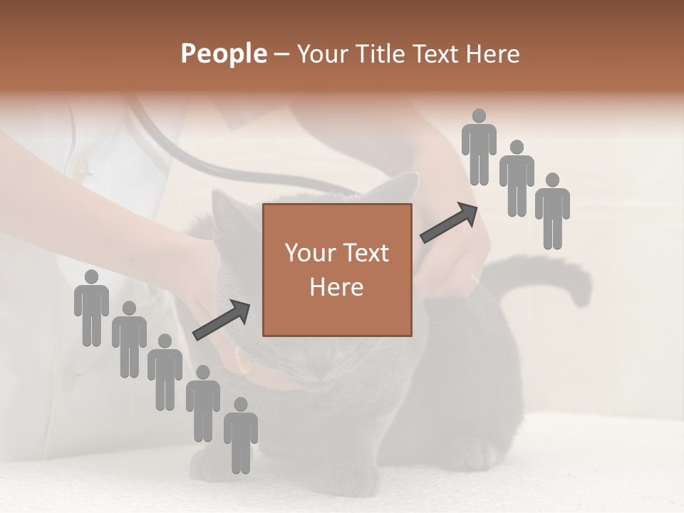 Portrait Of Beautiful African American Woman Smiling PowerPoint Template