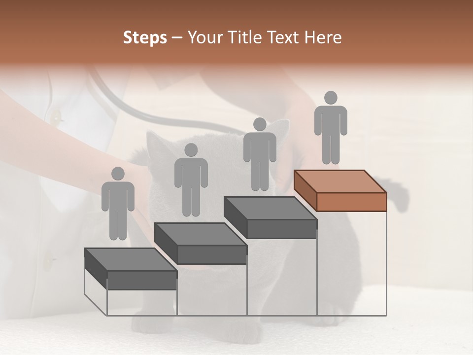 Portrait Of Beautiful African American Woman Smiling PowerPoint Template