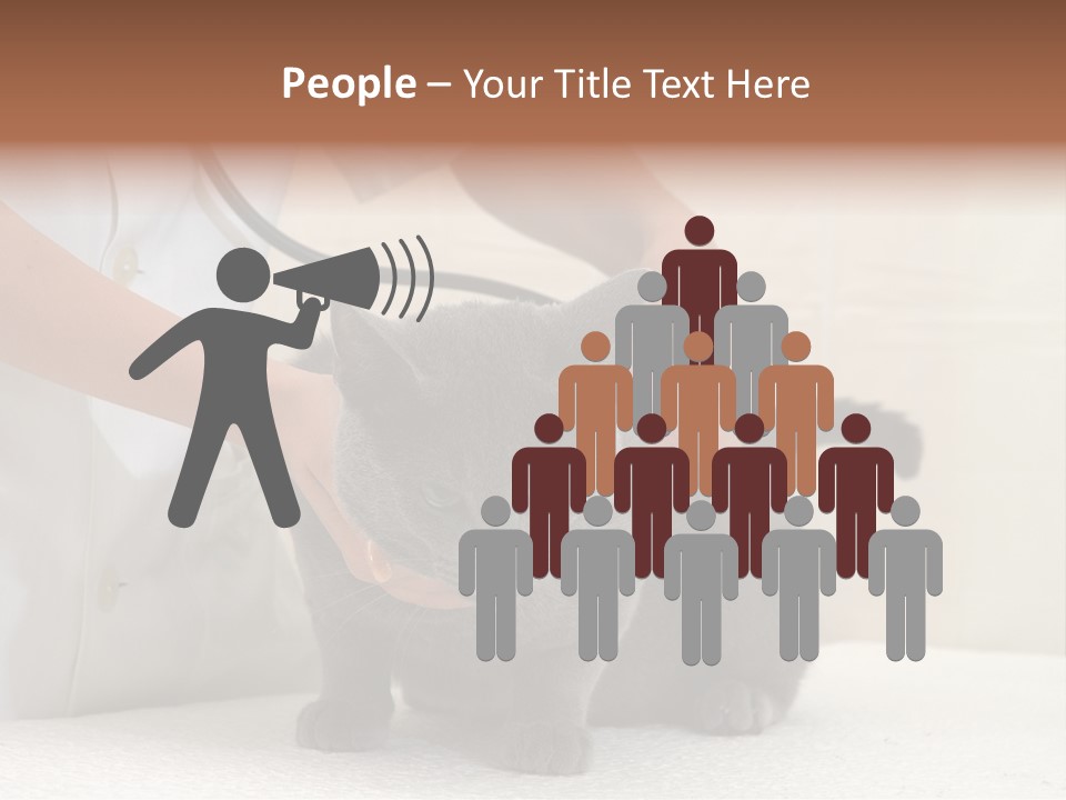 Portrait Of Beautiful African American Woman Smiling PowerPoint Template