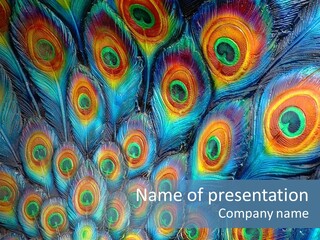 Peacock Feather Pattern PowerPoint Template