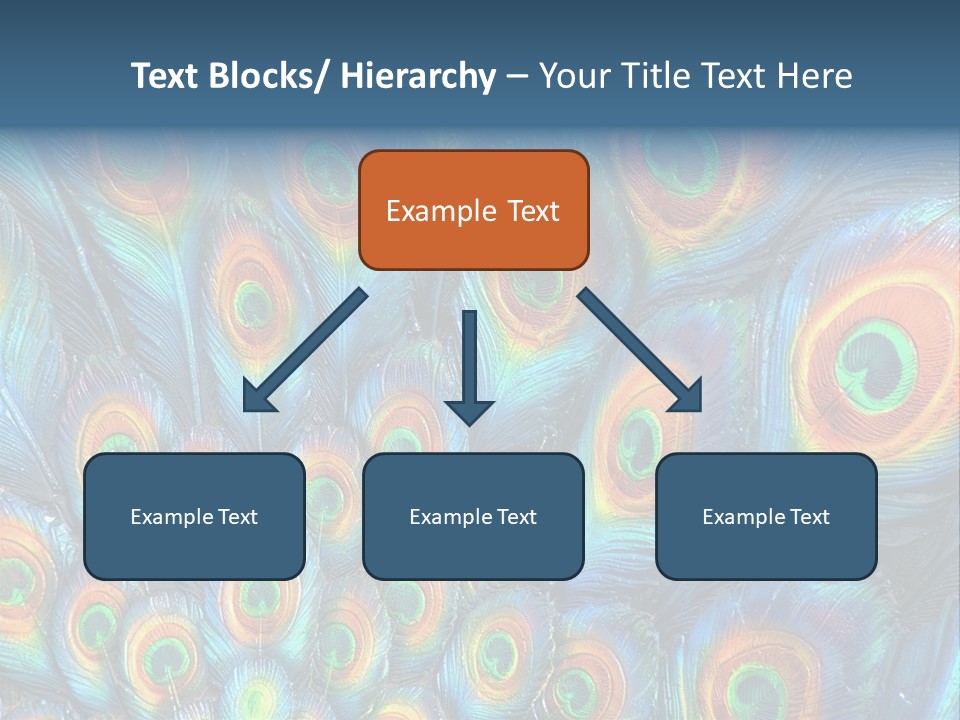 Peacock Feather Pattern PowerPoint Template