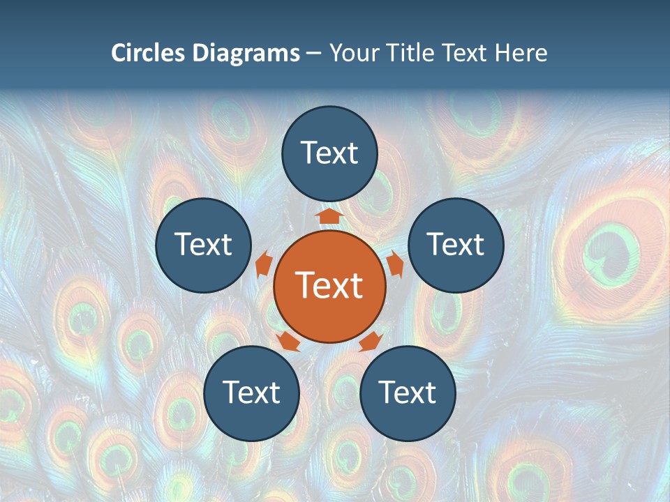 Peacock Feather Pattern PowerPoint Template