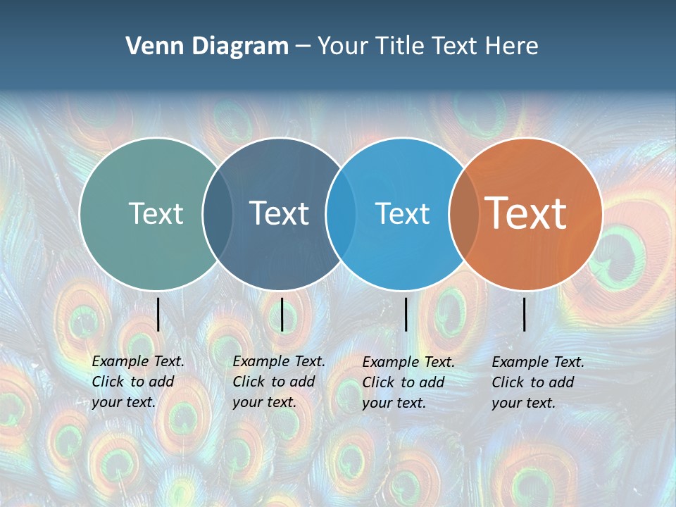 Peacock Feather Pattern PowerPoint Template