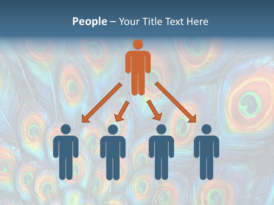 Peacock Feather Pattern PowerPoint Template