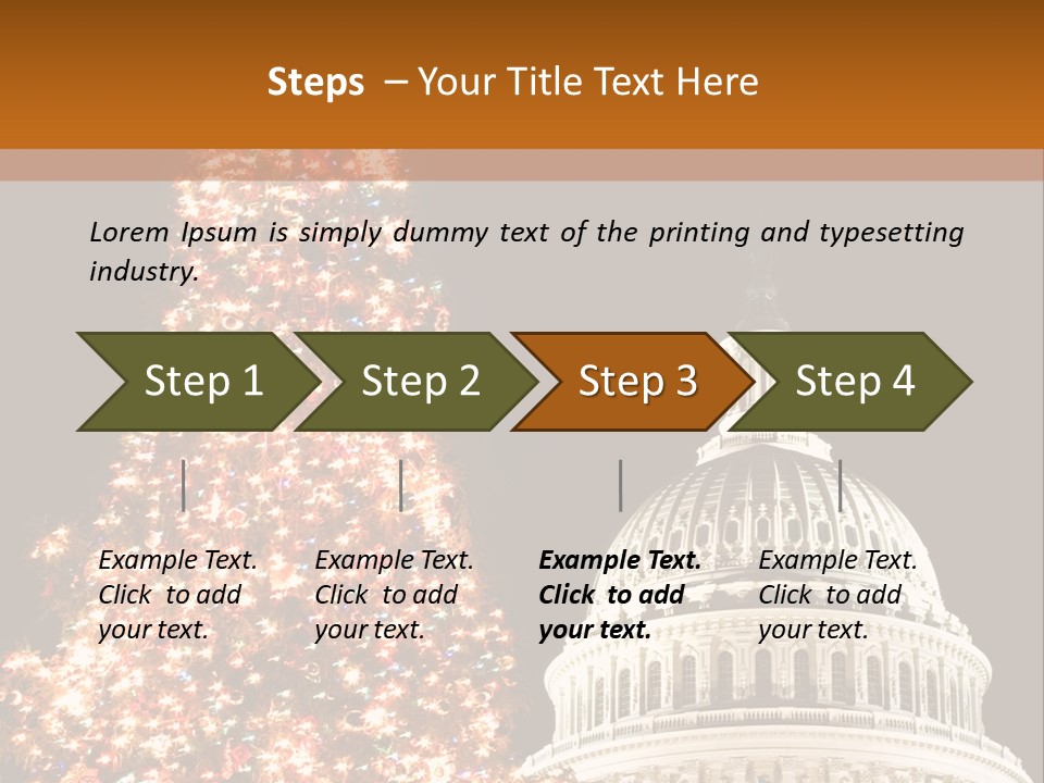 Christmas In Washington Dc PowerPoint Template