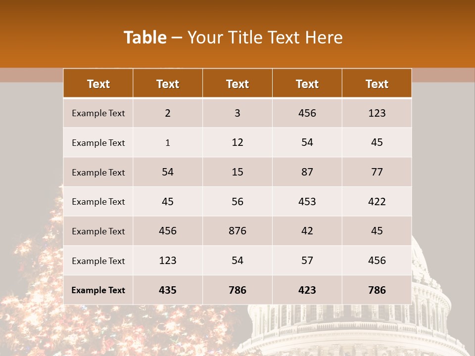 Christmas In Washington Dc PowerPoint Template