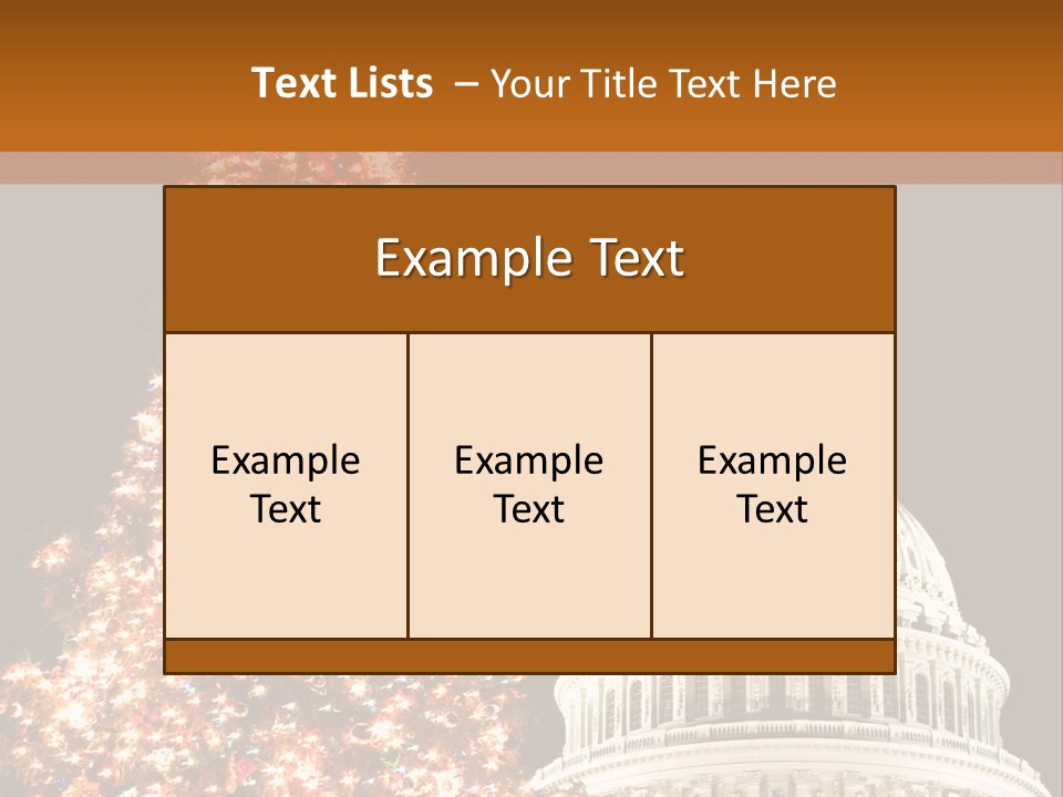 Christmas In Washington Dc PowerPoint Template