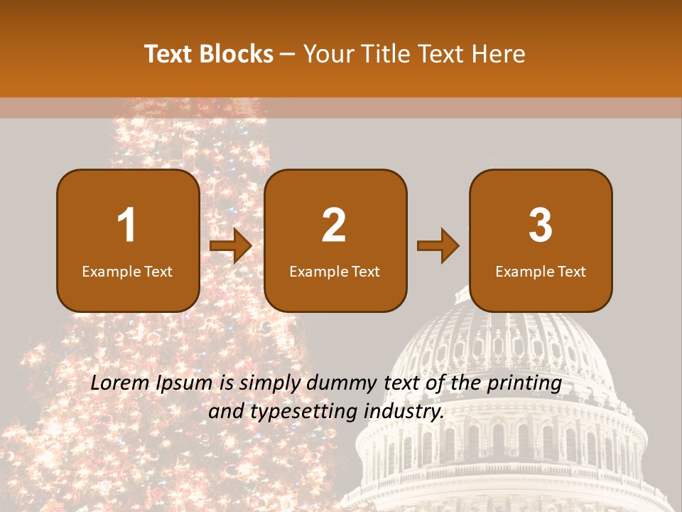 Christmas In Washington Dc PowerPoint Template