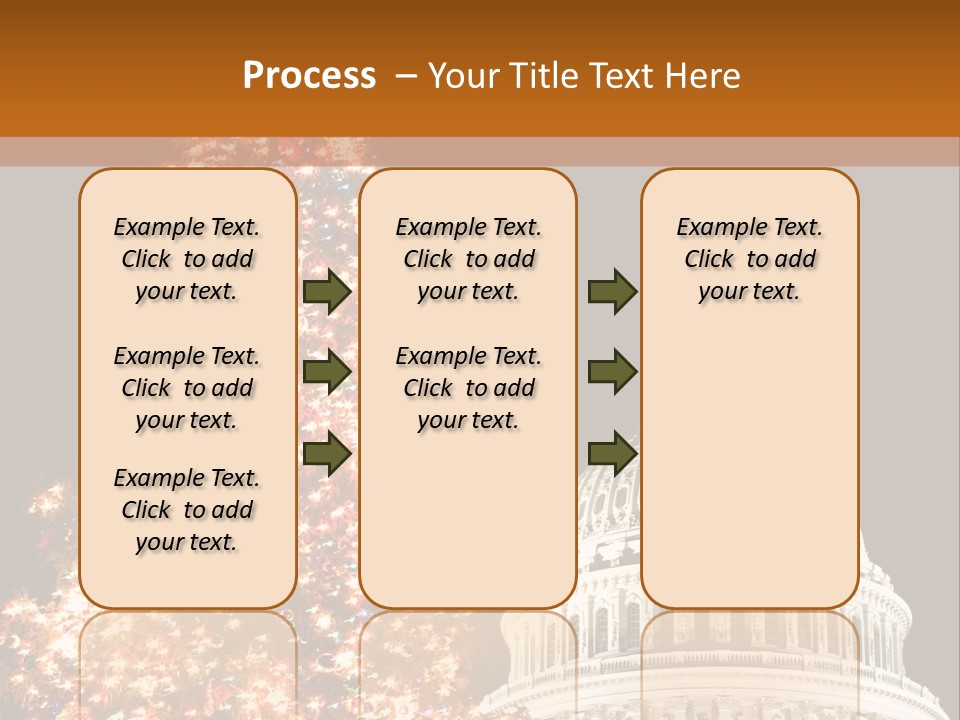 Christmas In Washington Dc PowerPoint Template