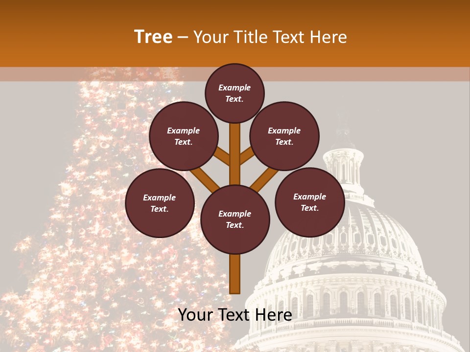 Christmas In Washington Dc PowerPoint Template