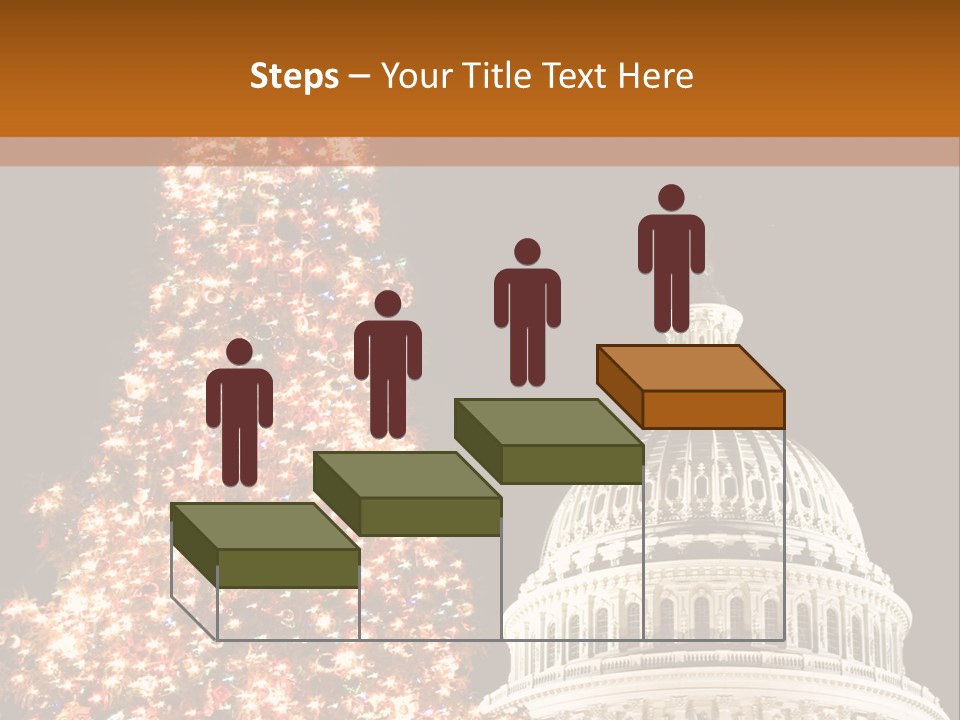 Christmas In Washington Dc PowerPoint Template