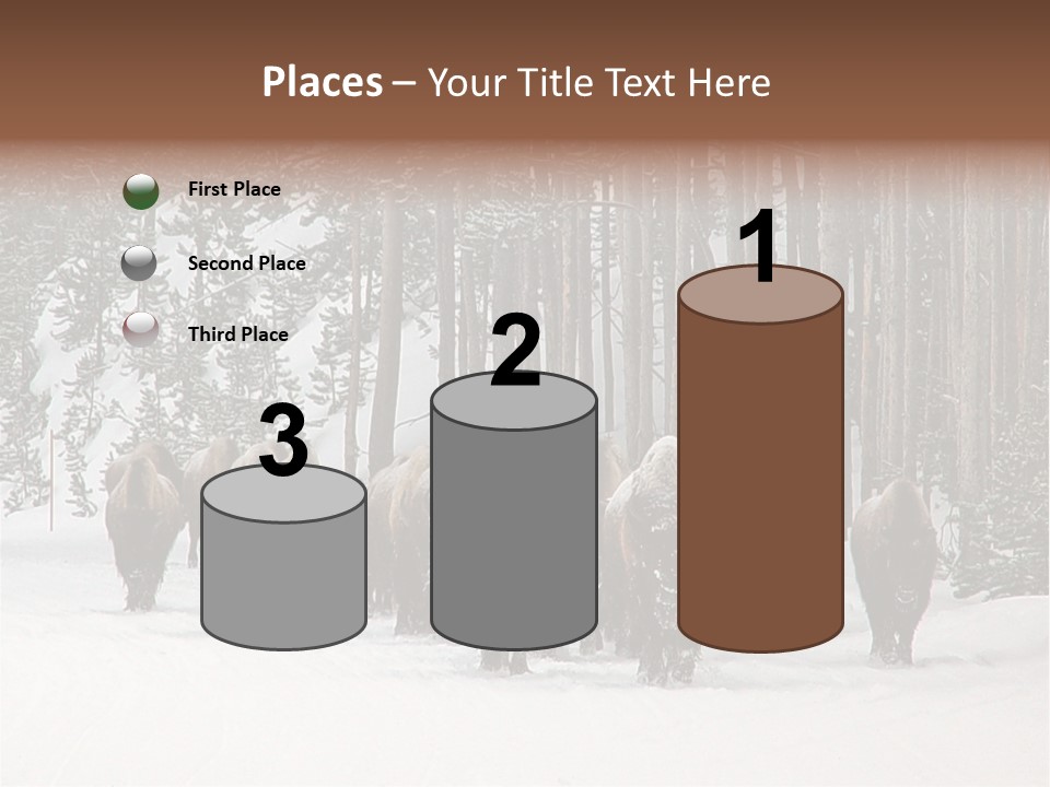 A Herd Of Bison Walking Through A Snow Covered Forest PowerPoint Template