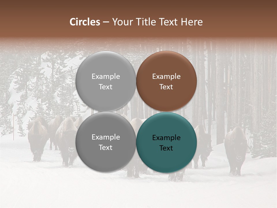 A Herd Of Bison Walking Through A Snow Covered Forest PowerPoint Template