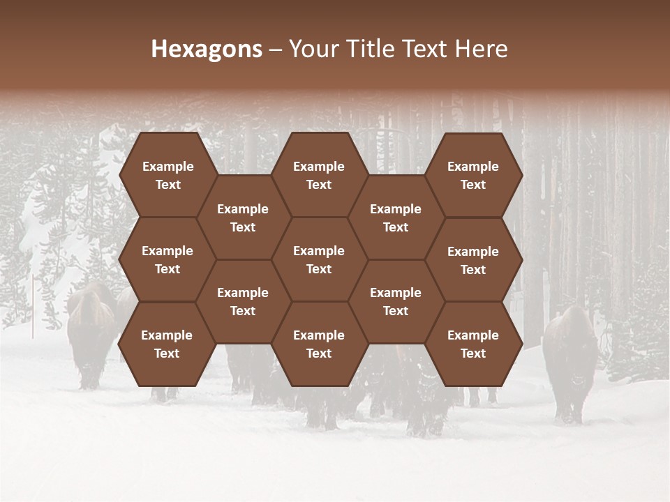 A Herd Of Bison Walking Through A Snow Covered Forest PowerPoint Template