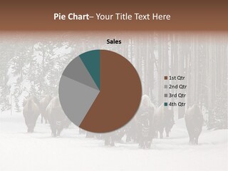 A Herd Of Bison Walking Through A Snow Covered Forest PowerPoint Template
