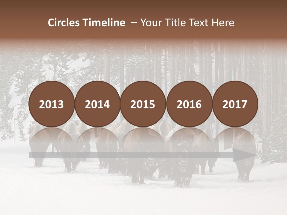 A Herd Of Bison Walking Through A Snow Covered Forest PowerPoint Template