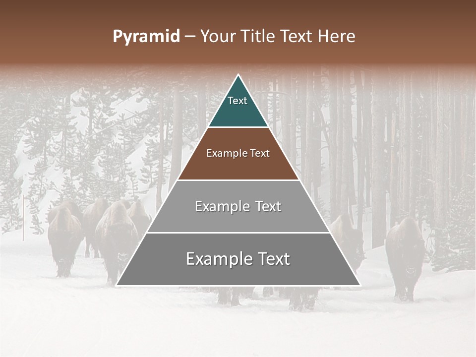 A Herd Of Bison Walking Through A Snow Covered Forest PowerPoint Template