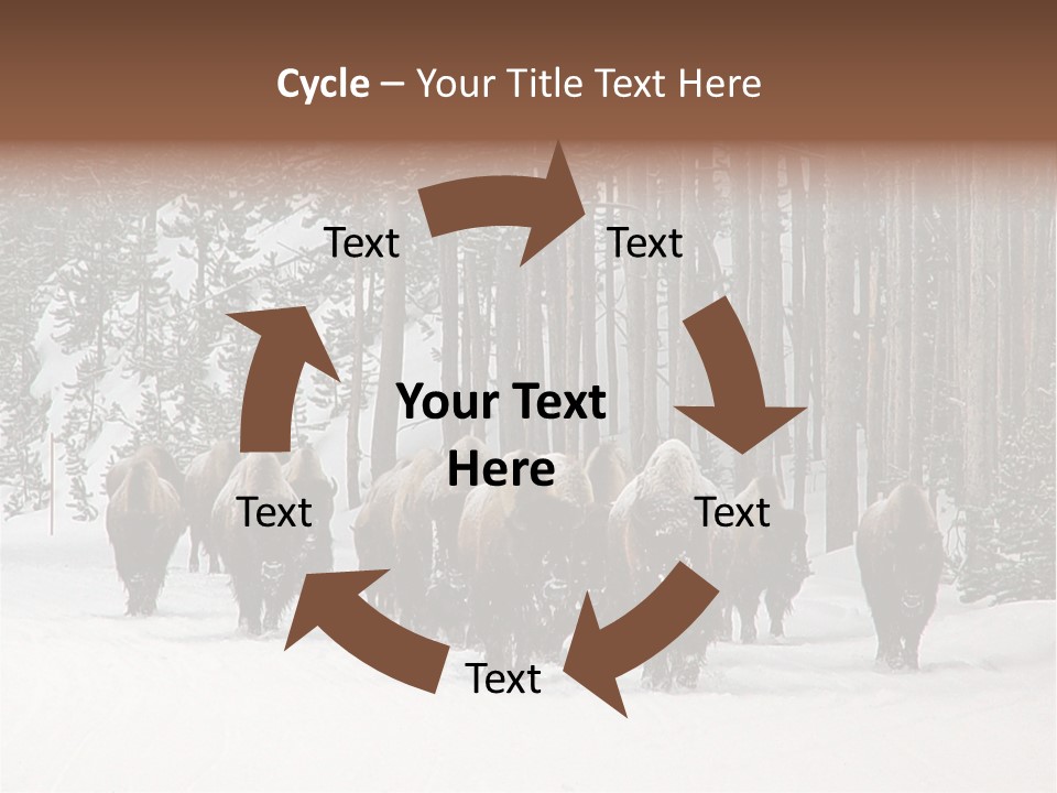 A Herd Of Bison Walking Through A Snow Covered Forest PowerPoint Template