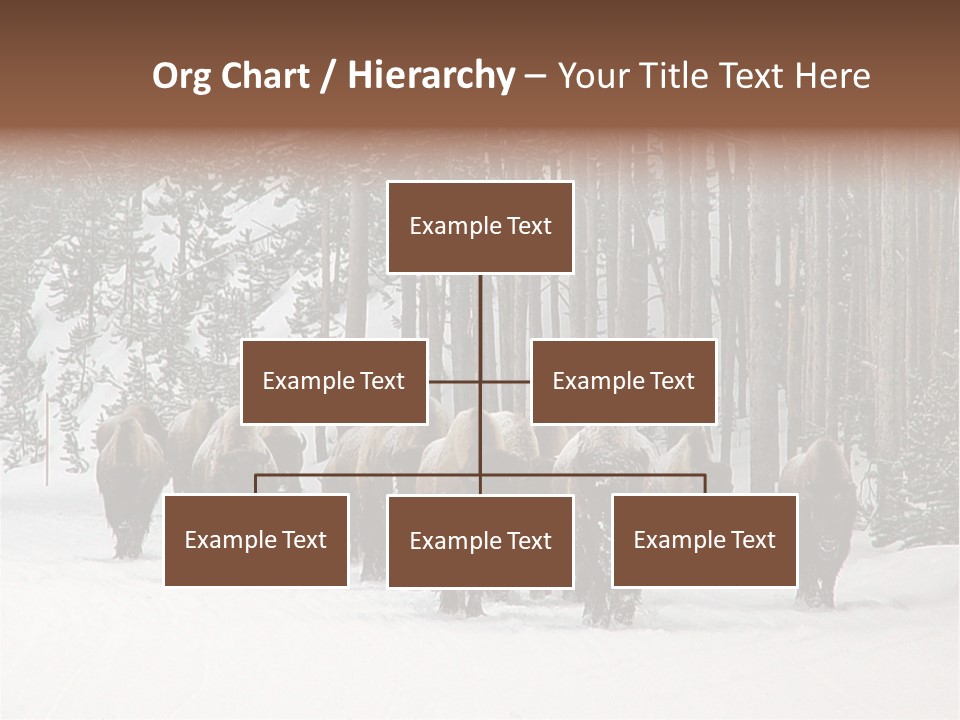 A Herd Of Bison Walking Through A Snow Covered Forest PowerPoint Template