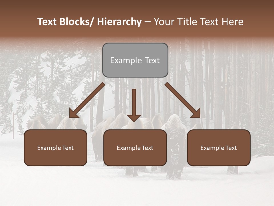 A Herd Of Bison Walking Through A Snow Covered Forest PowerPoint Template
