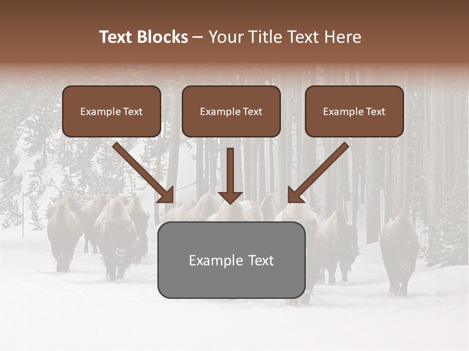 A Herd Of Bison Walking Through A Snow Covered Forest PowerPoint Template