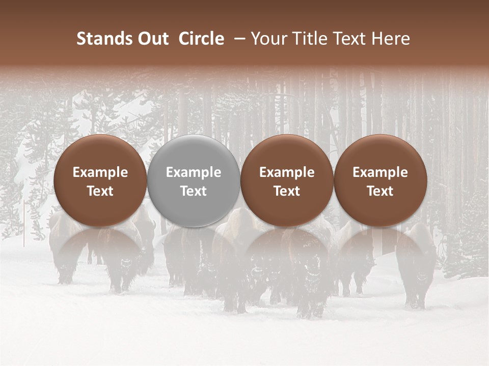 A Herd Of Bison Walking Through A Snow Covered Forest PowerPoint Template