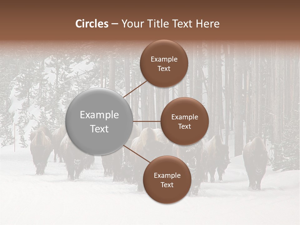 A Herd Of Bison Walking Through A Snow Covered Forest PowerPoint Template