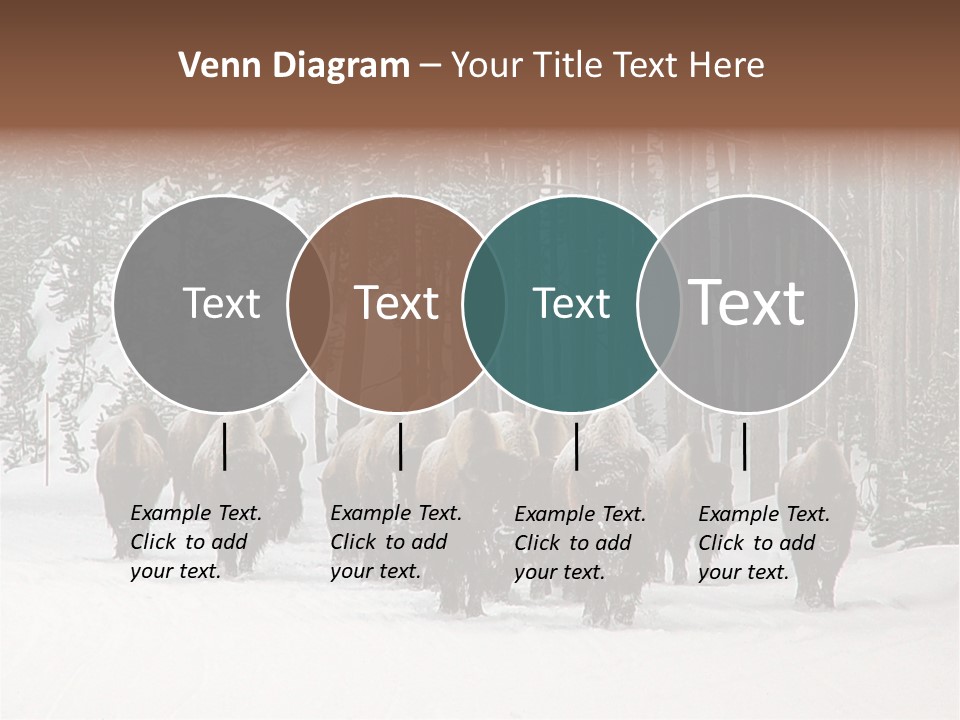 A Herd Of Bison Walking Through A Snow Covered Forest PowerPoint Template