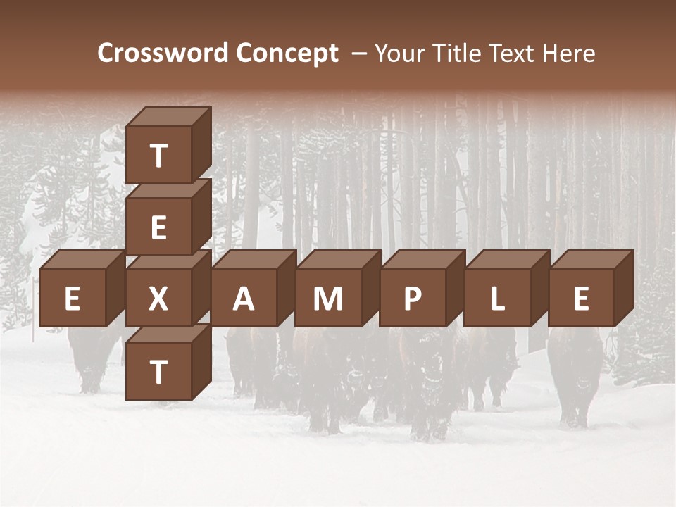 A Herd Of Bison Walking Through A Snow Covered Forest PowerPoint Template