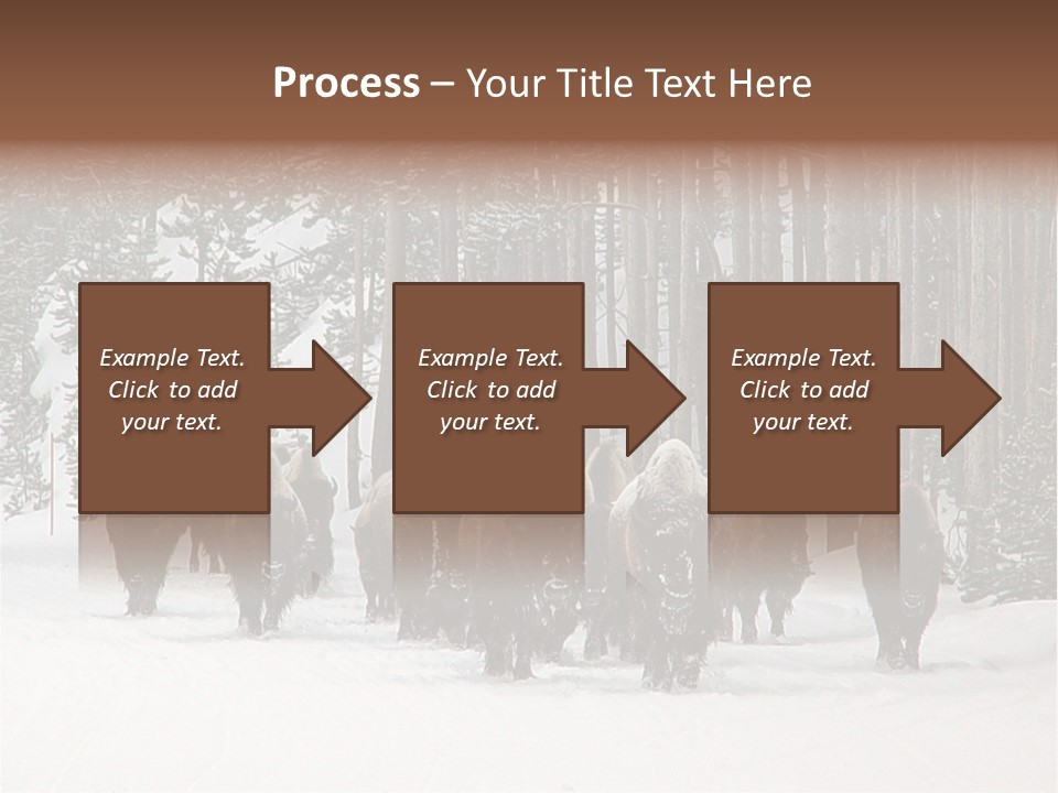 A Herd Of Bison Walking Through A Snow Covered Forest PowerPoint Template