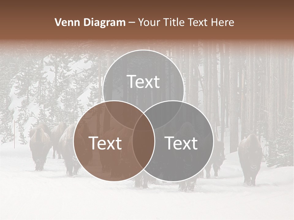 A Herd Of Bison Walking Through A Snow Covered Forest PowerPoint Template