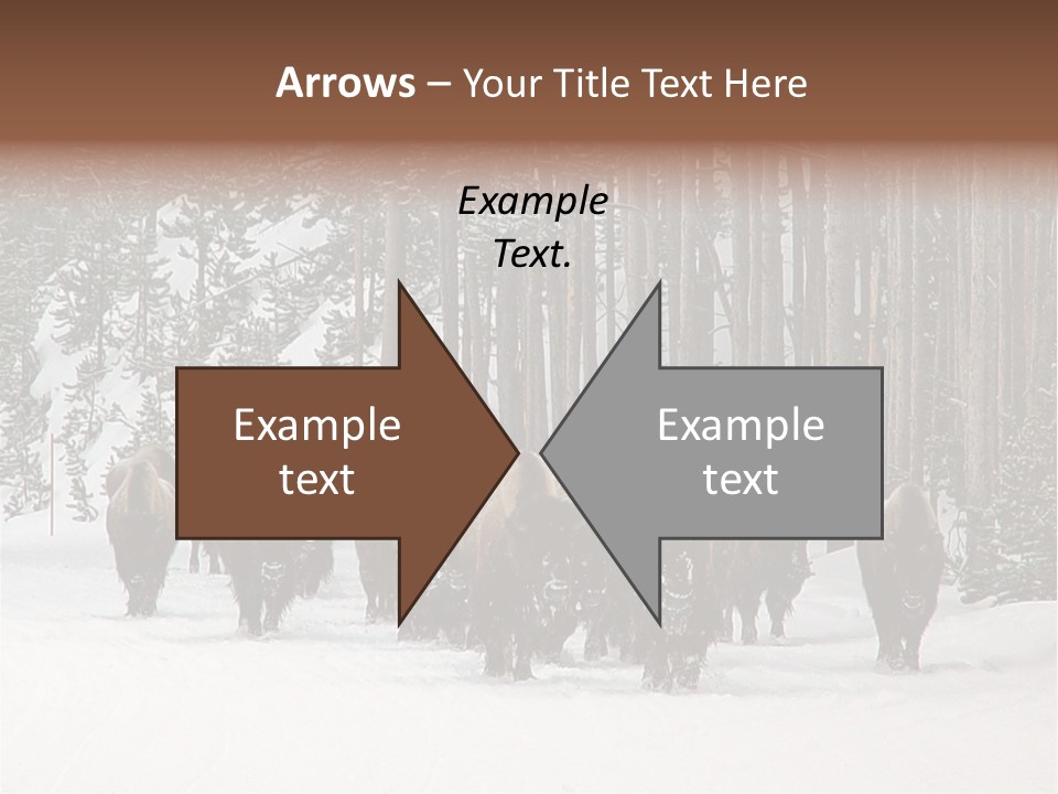A Herd Of Bison Walking Through A Snow Covered Forest PowerPoint Template