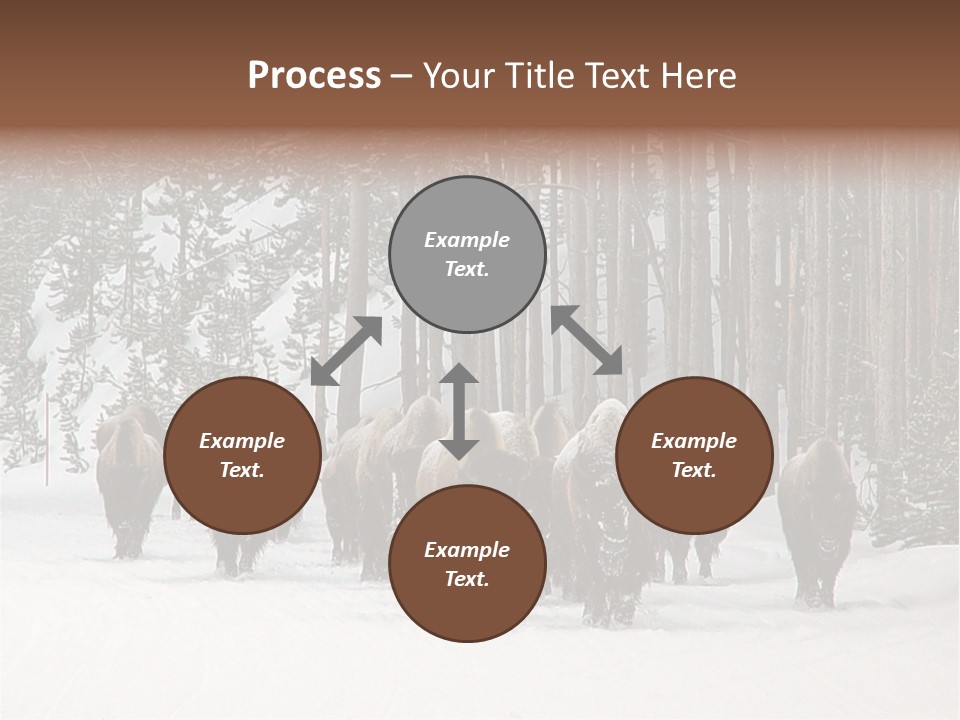 A Herd Of Bison Walking Through A Snow Covered Forest PowerPoint Template