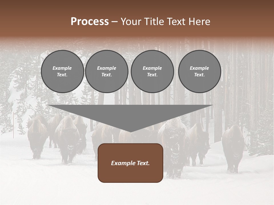A Herd Of Bison Walking Through A Snow Covered Forest PowerPoint Template
