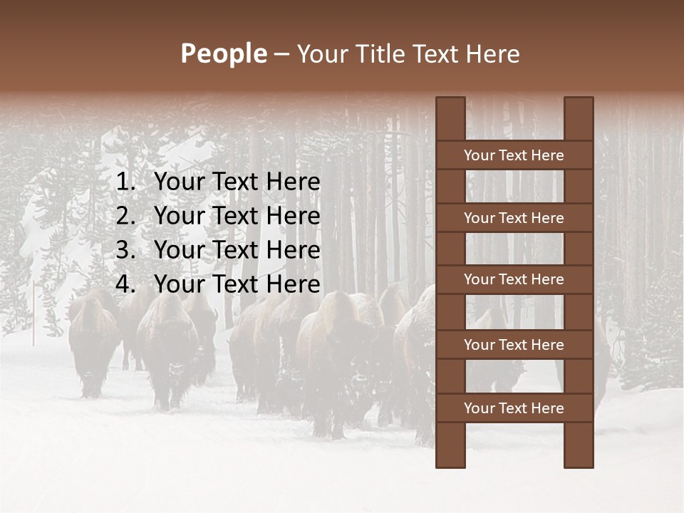 A Herd Of Bison Walking Through A Snow Covered Forest PowerPoint Template