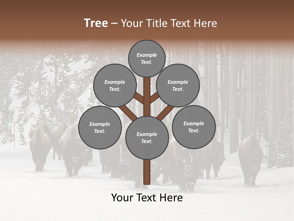 A Herd Of Bison Walking Through A Snow Covered Forest PowerPoint Template