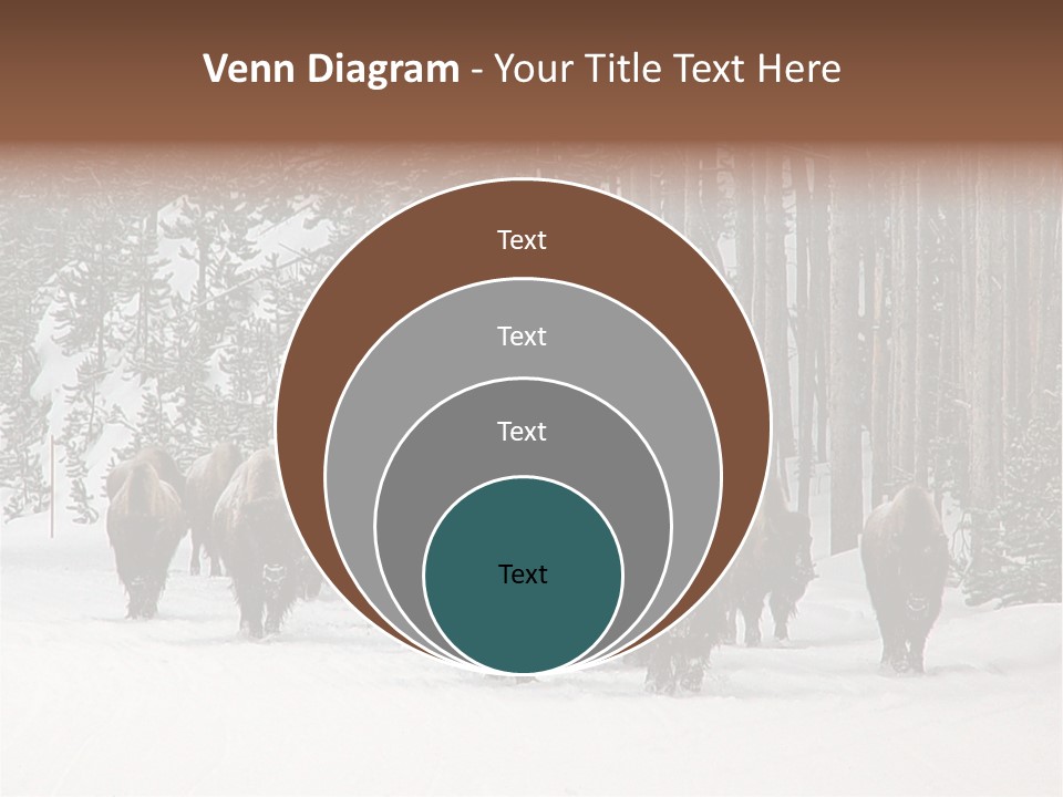 A Herd Of Bison Walking Through A Snow Covered Forest PowerPoint Template