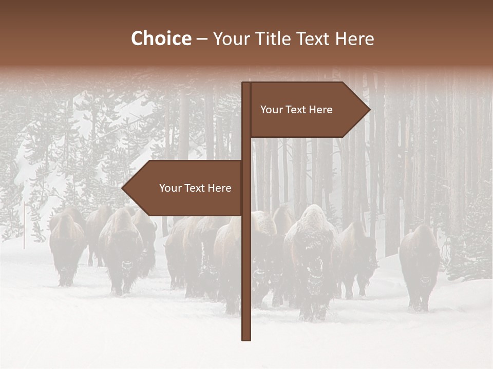 A Herd Of Bison Walking Through A Snow Covered Forest PowerPoint Template