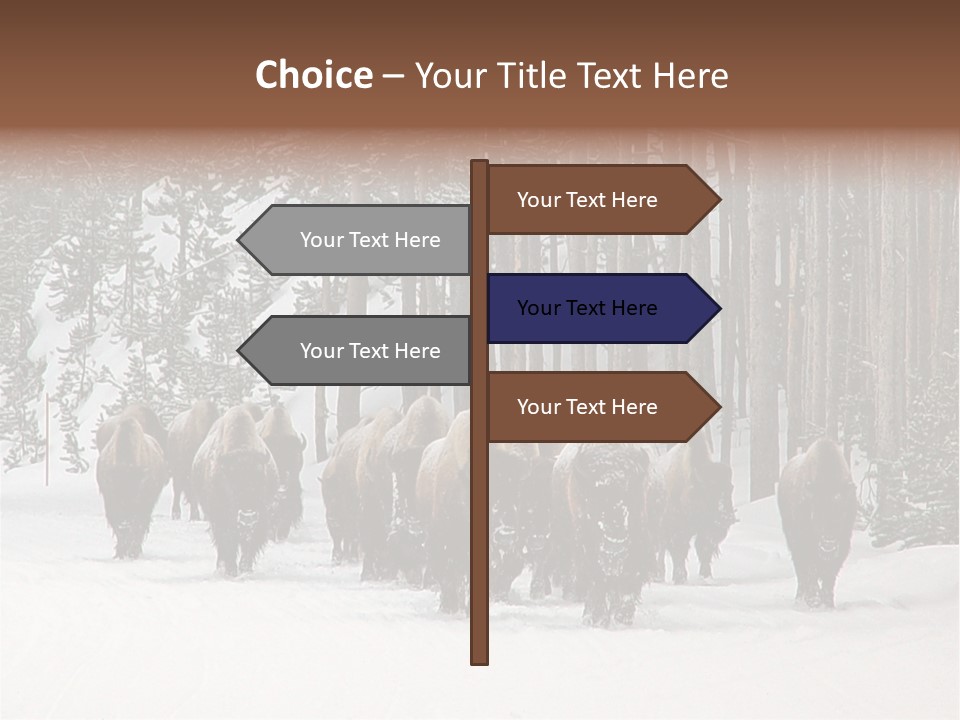 A Herd Of Bison Walking Through A Snow Covered Forest PowerPoint Template