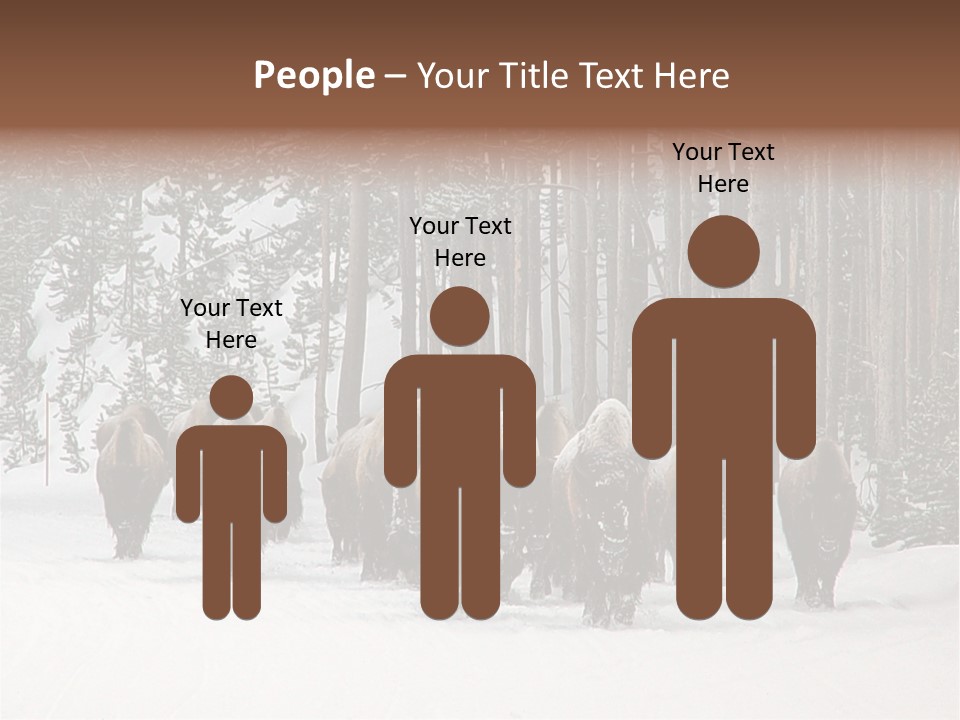 A Herd Of Bison Walking Through A Snow Covered Forest PowerPoint Template
