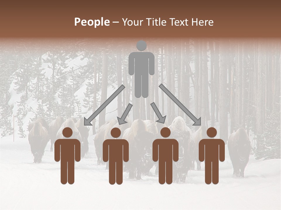 A Herd Of Bison Walking Through A Snow Covered Forest PowerPoint Template